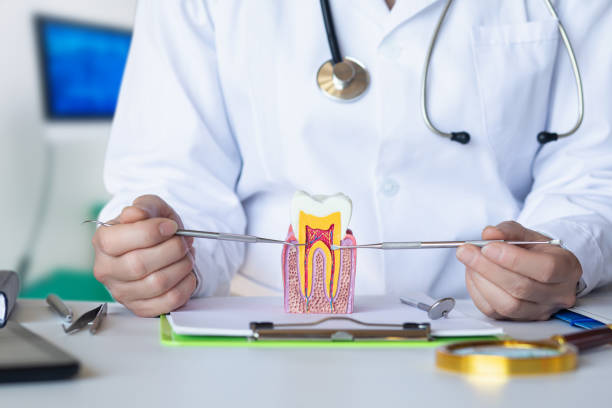 Best Emergency Pediatric Dental Care in East Basin, UT